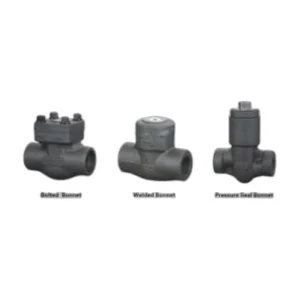 Forged Steel Screwed Check Valve Class 800