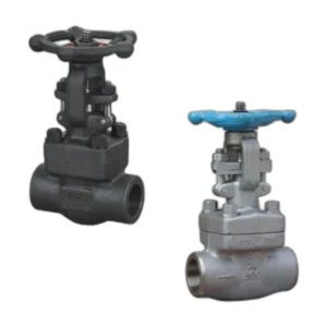 Forged Steel Threaded and Socket Welded Gate Valve