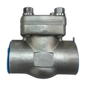 Forged Swing Check Valve