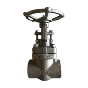 Class 800 Forged Carbon Steel Gate Valve