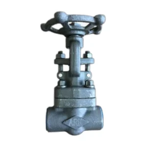 Forged Steel Gate Valve A105N