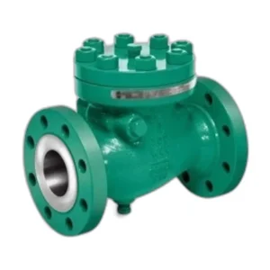 Full Port Horizontal Swing Check Valve 300LB