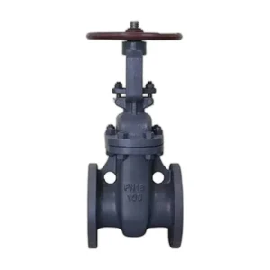 GOST Gate Valve