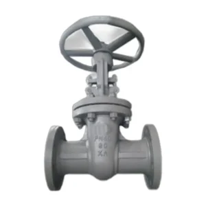 GOST Cast Steel Gate Valve PN40