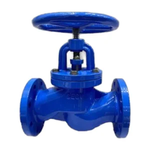 GV01 DIN3356 F1 Globe Valve PN16