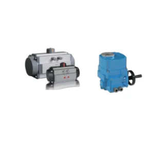 Hand Lever / Worm Gear / Pneumatic / Electric Operator