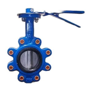 Lug Concentric Butterfly Valve