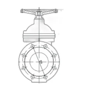 MG07 BS3464 PN10/PN16 Non-Rising Stem Metal Seat Gate Valve