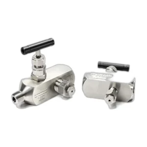 Multiport Gauge Valve
