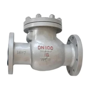 Non Slam Check Valve