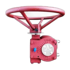 Outlet Worm Gear Head