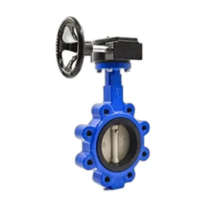 API 609 Butterfly Valve (P48 BFV02)