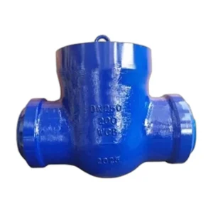 Power Station Check Valve