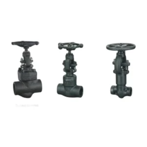 Pressure Seal Forged Steel Globe Valve