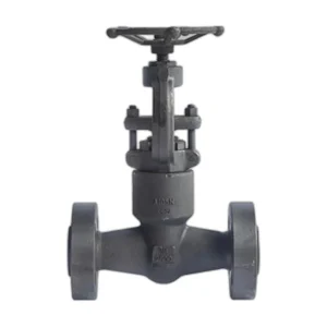 Pressure Seal Globe Valve