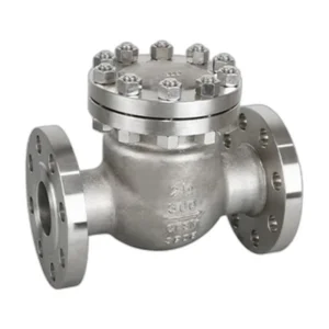 Pressure Seal Swing Check Valve