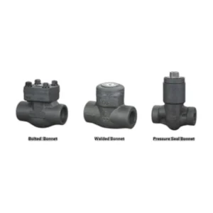 Pressure Seal Threaded Check Valve 1500LB 2500LB