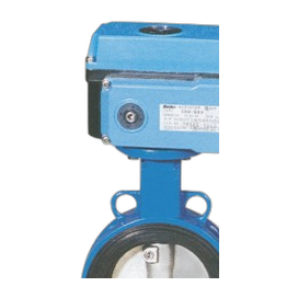 Electric Actuators
