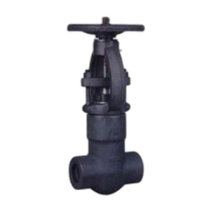 Forged Steel Gate Valves