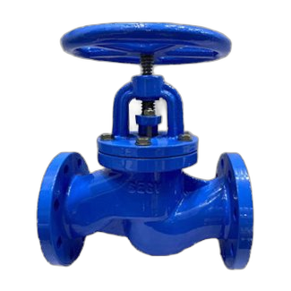 Globe Valves