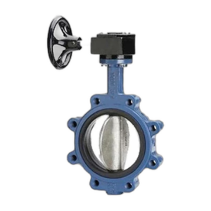 PTFE Lined Butterfly Valves