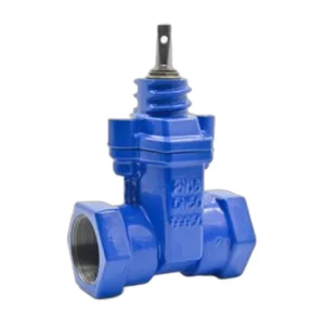 Threaded Resilient Seat Gate Valve DIN3352 (RG13)