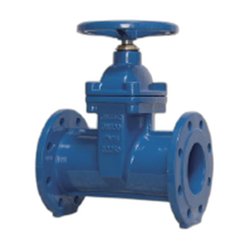rg02-resilient-seat-gate-valve-product