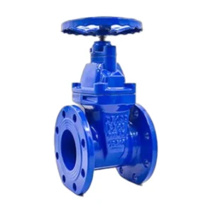 RG04-F4-Nrs Gland Type DIN3352 / EN1171 Resilient Seated Gate Valve (Gland Type)