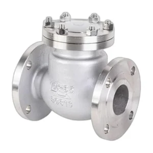 Stainless Steel Check Valve