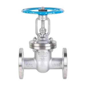 Stainless Steel Gate Valve