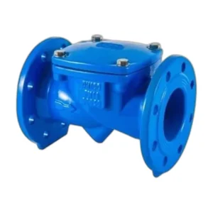 Swing Flex Check Valve