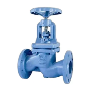 T Type Globe Valve