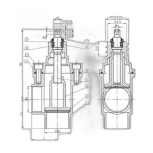 Thread End Angle Type Resilient Seat Gate Valve