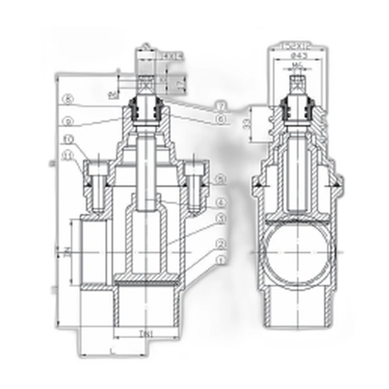 thread-end-angle-resilient-seat-gate-valve-product
