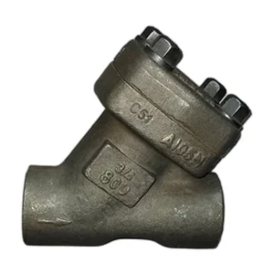 Y Type Check Valve